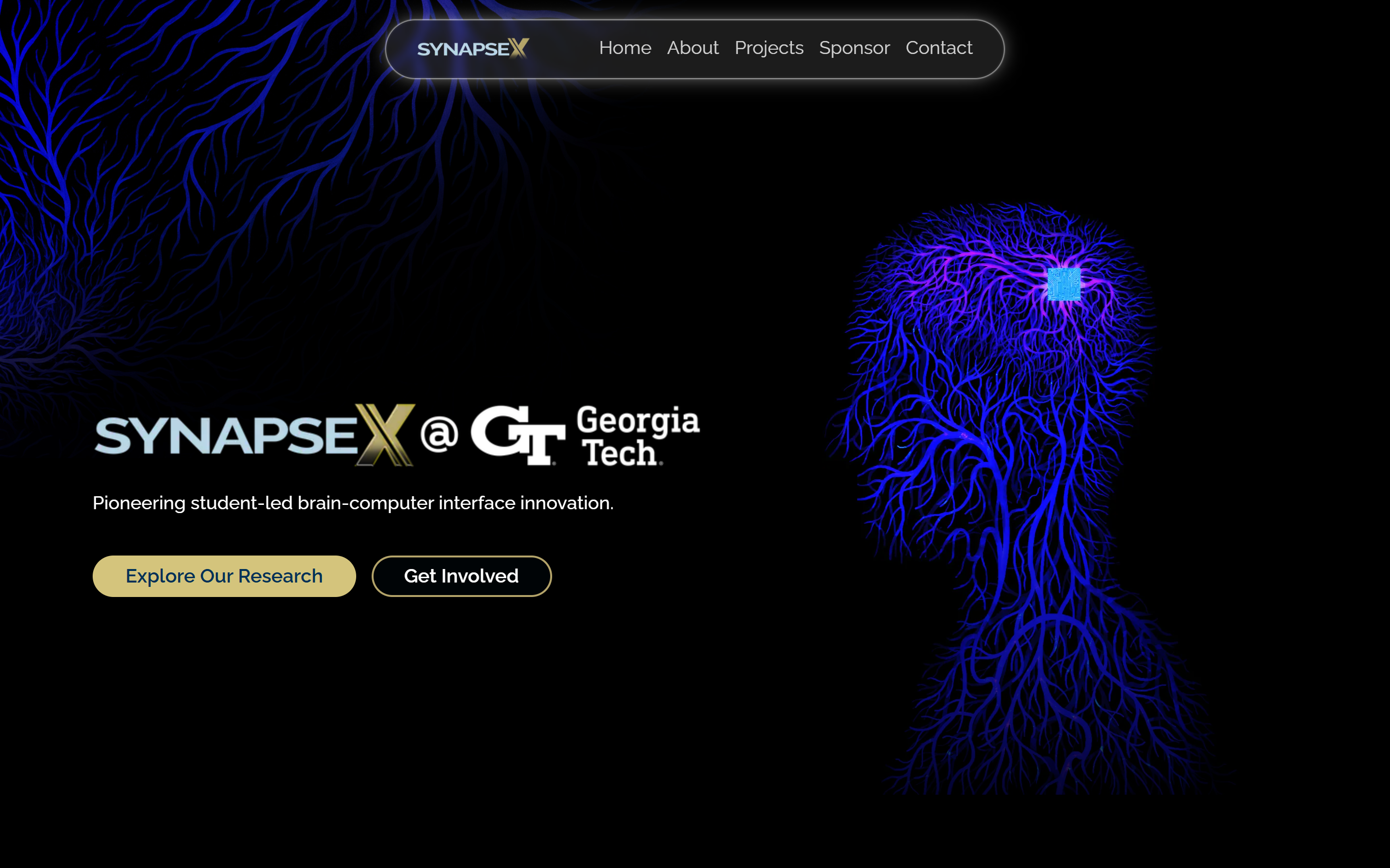 gtsynapsex.com